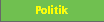 Politik