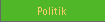 Politik